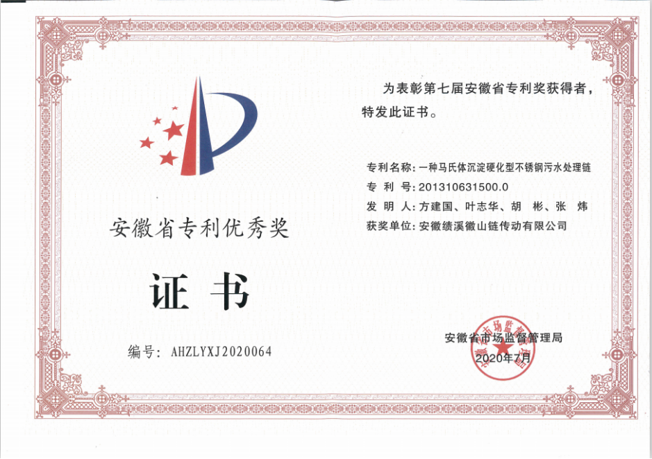 Anhui Province Patent Excellence Award